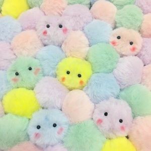 Meet your Posher, Haylee